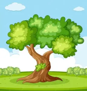 A green tree.