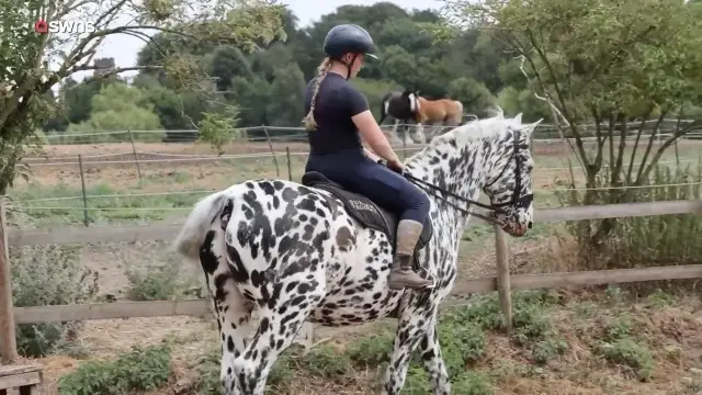 Megan riding her horse, Milo.
